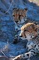 20090618_101737 D300 X1